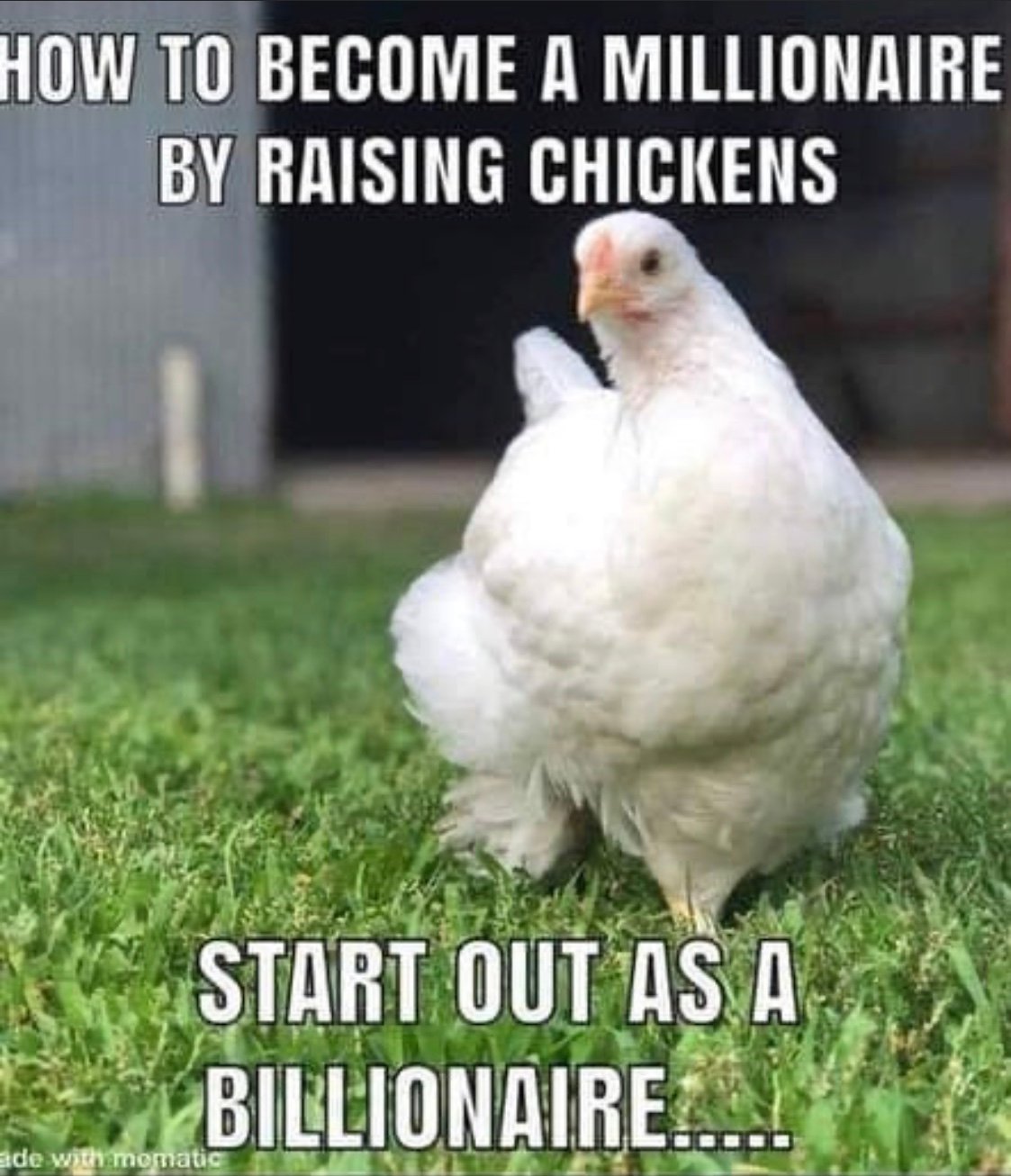 Chicken millionaire meme